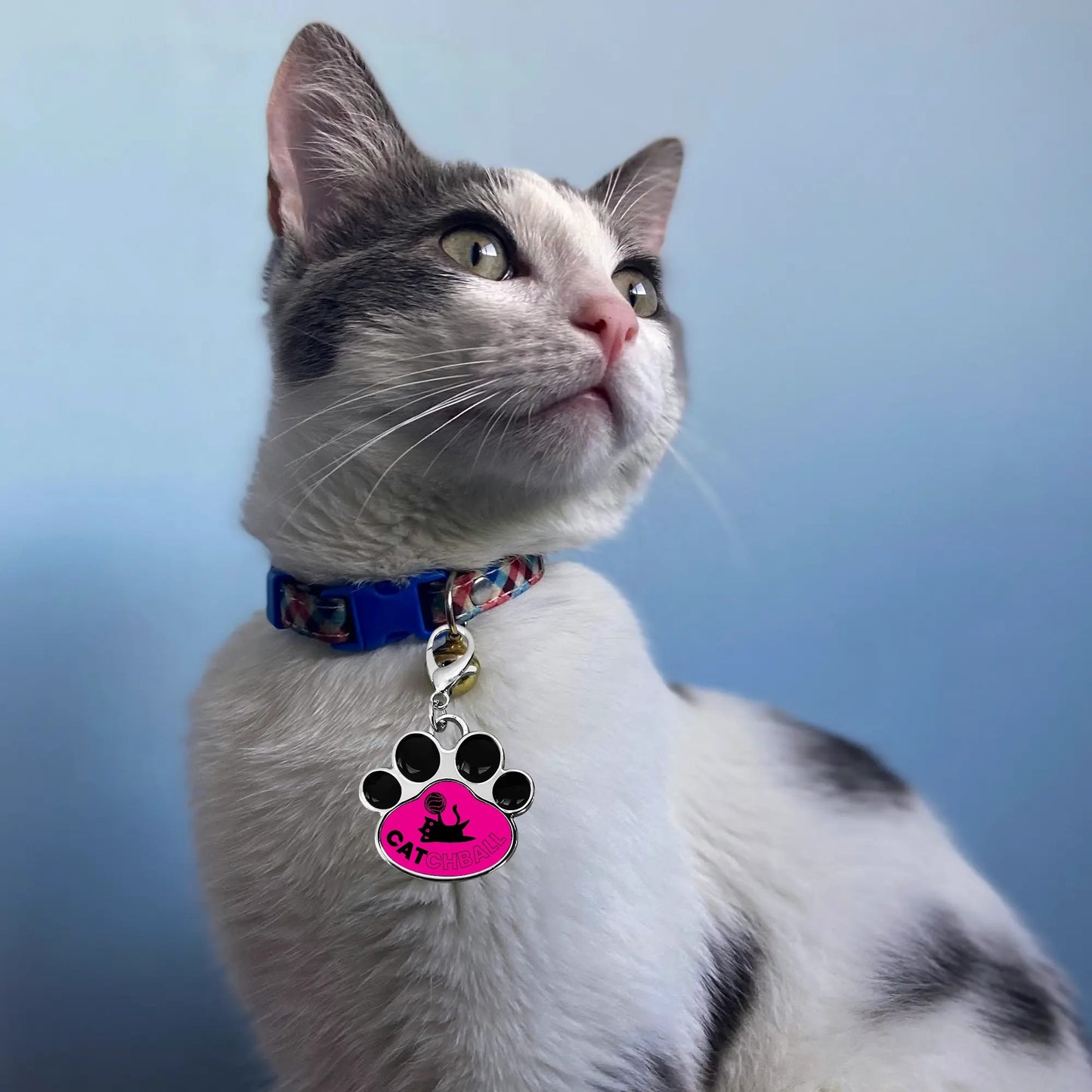 Catchball Cat Paw Shape Collar Decor Jewelry Pet Pendant Keychain