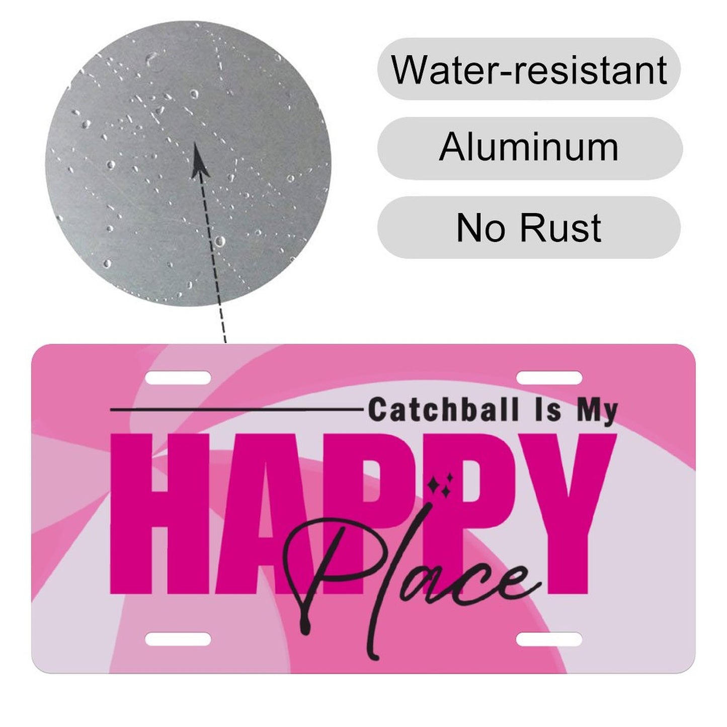 Car License Plate - 11.8”x5.9”